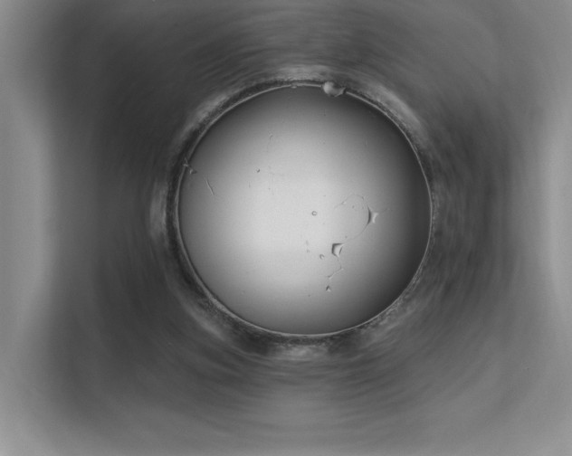 X0000112390155200908131556