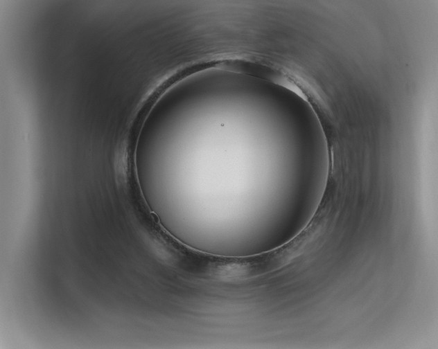 X0000112390156200908131556