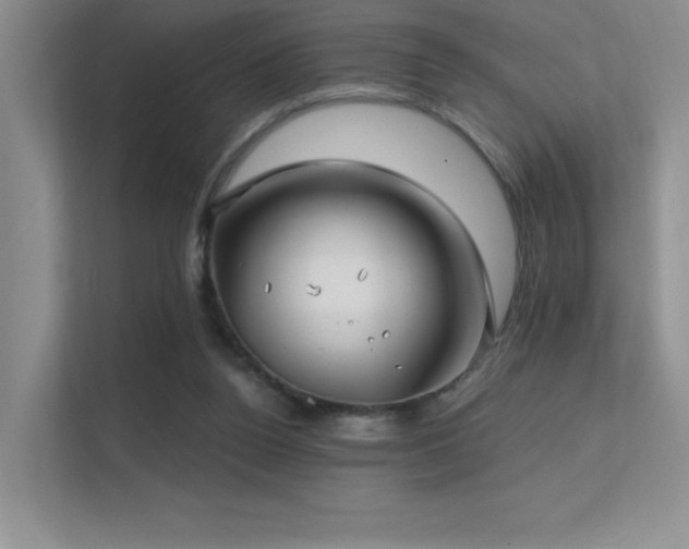 X0000112390160200908131556