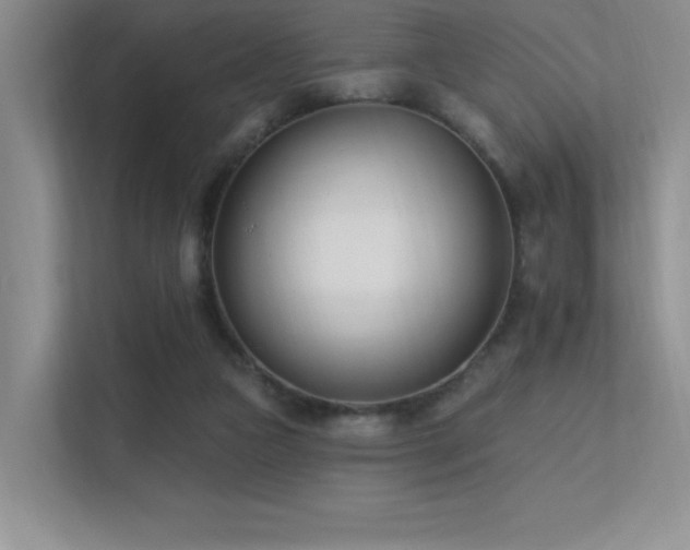 X0000112390161200908131556