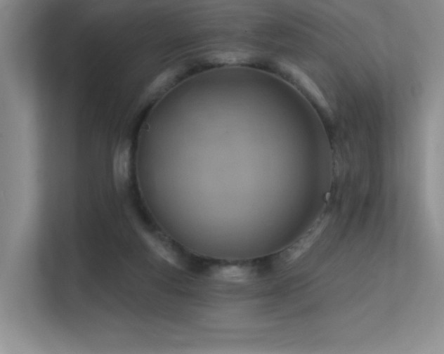 X0000112390163200908131556