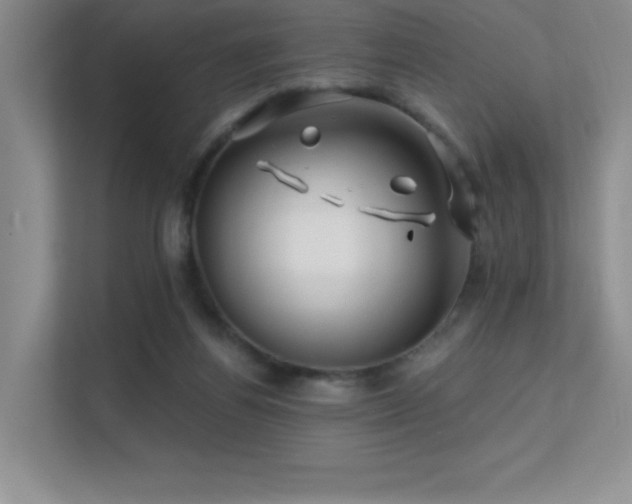 X0000112390164200908131556