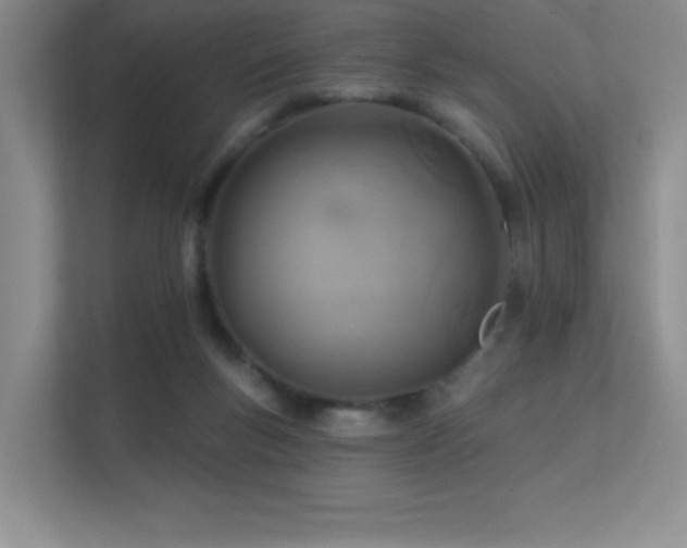 X0000112390167200908131556