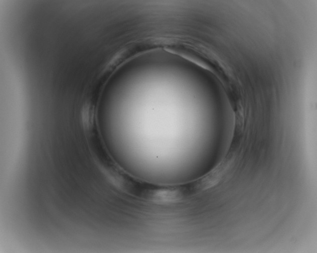 X0000112390168200908131556