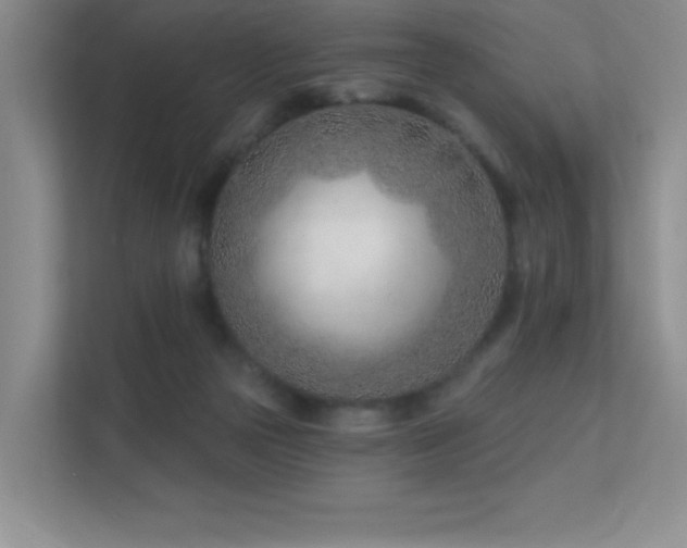 X0000112390169200908131556