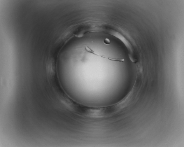 X0000112390170200908131556