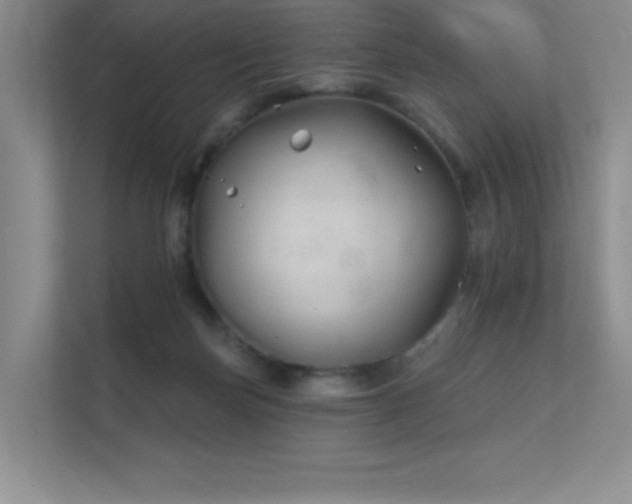 X0000112390171200908131556