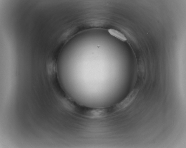 X0000112390172200908131556