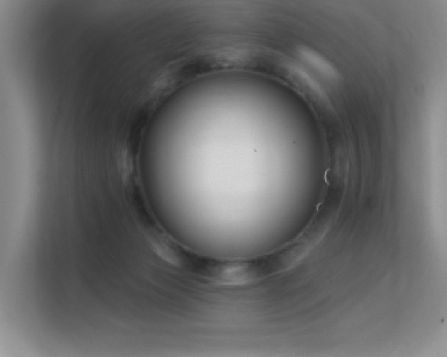 X0000112390173200908131556