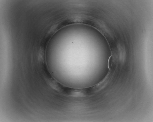 X0000112390175200908131556