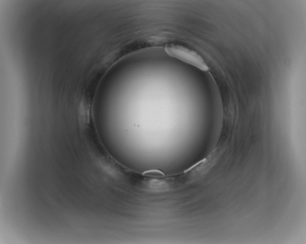 X0000112390180200908131556