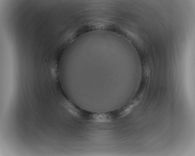 X0000112390181200908131556