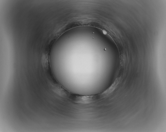 X0000112390184200908131556