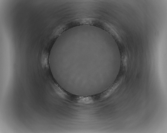 X0000112390185200908131556