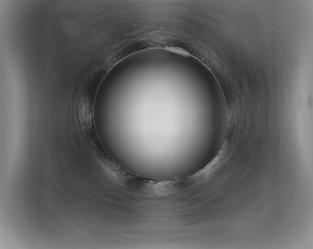 X0000112390186200908131556