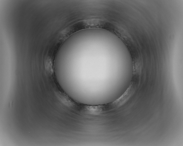 X0000112390187200908131556