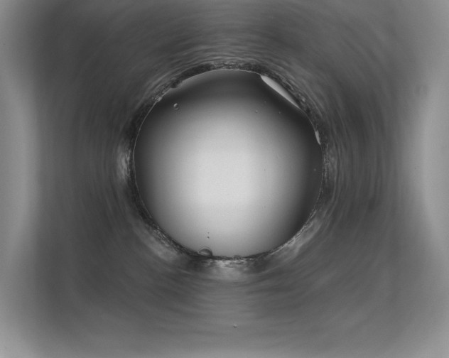 X0000112390188200908131556