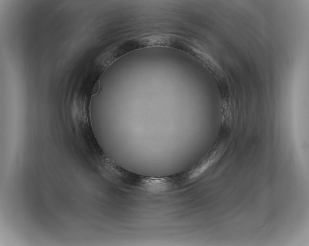 X0000112390189200908131556