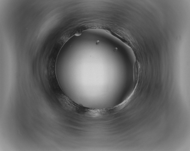 X0000112390190200908131556