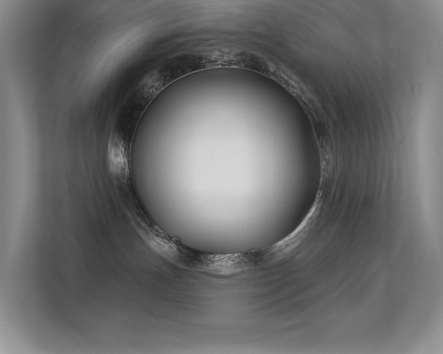 X0000112390191200908131556