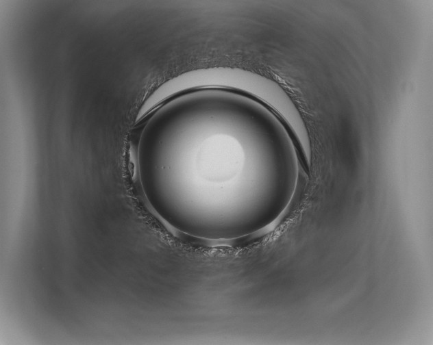 X0000112390192200908131556