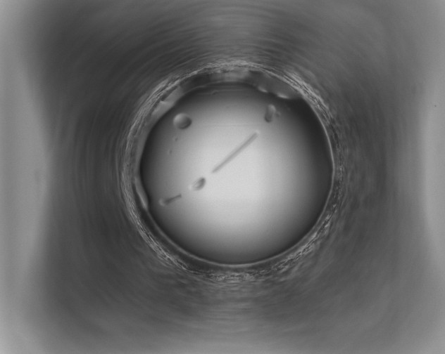 X0000112390193200908131556