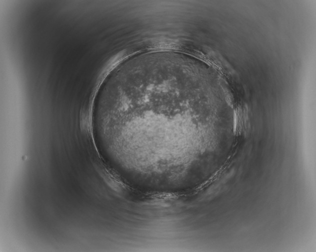 X0000112390195200908131556