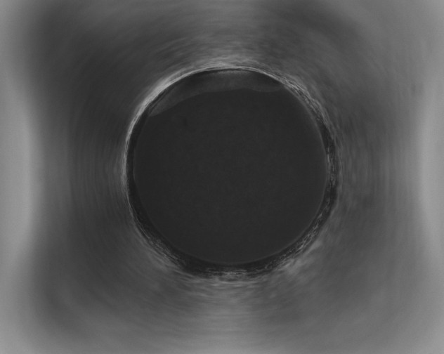 X0000112390196200908131556