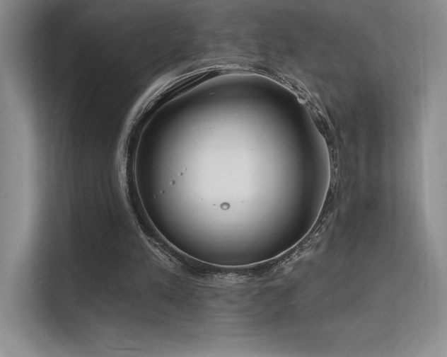 X0000112390197200908131556