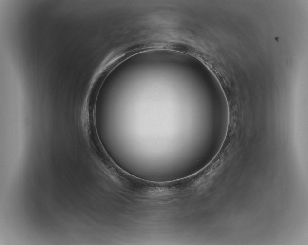 X0000112390198200908131556