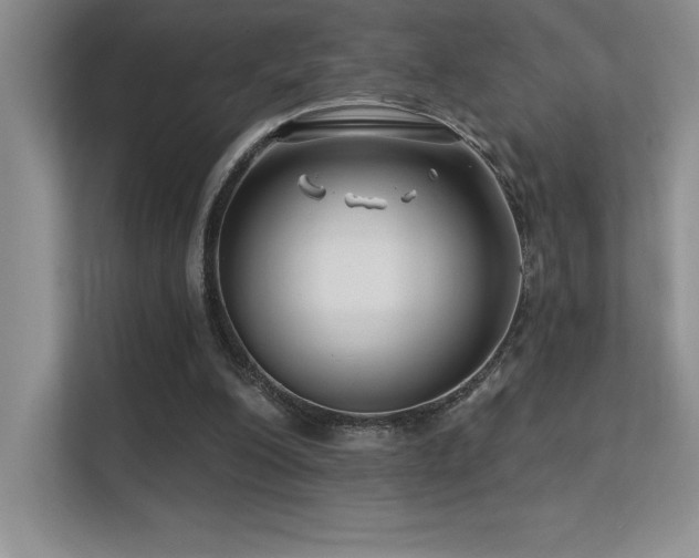 X0000112390200200908131556