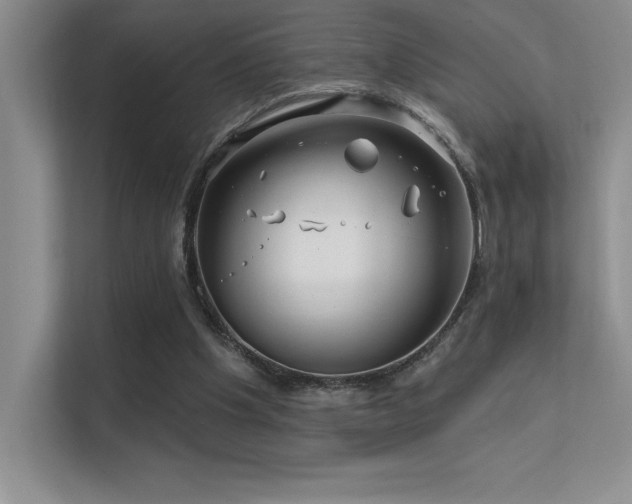 X0000112390201200908131556