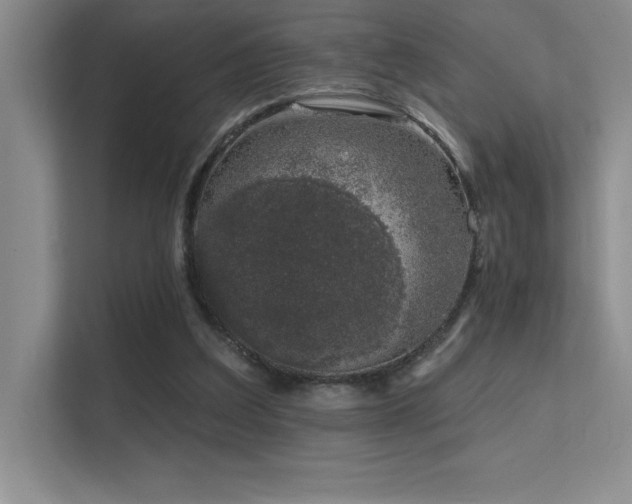 X0000112390203200908131555