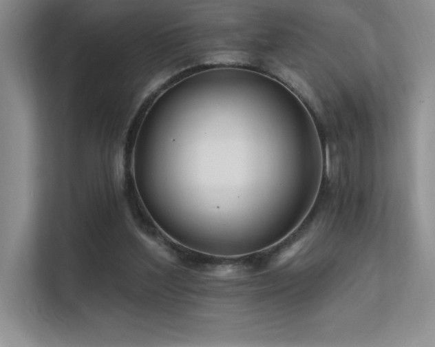 X0000112390204200908131555