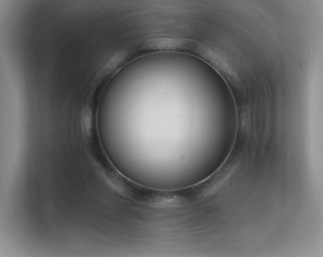 X0000112390206200908131555