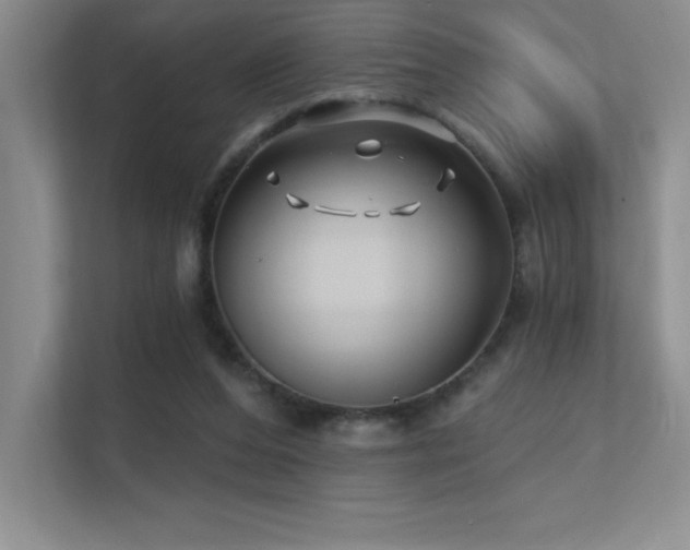 X0000112390208200908131555