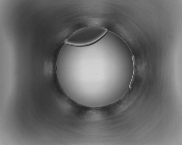 X0000112390211200908131555