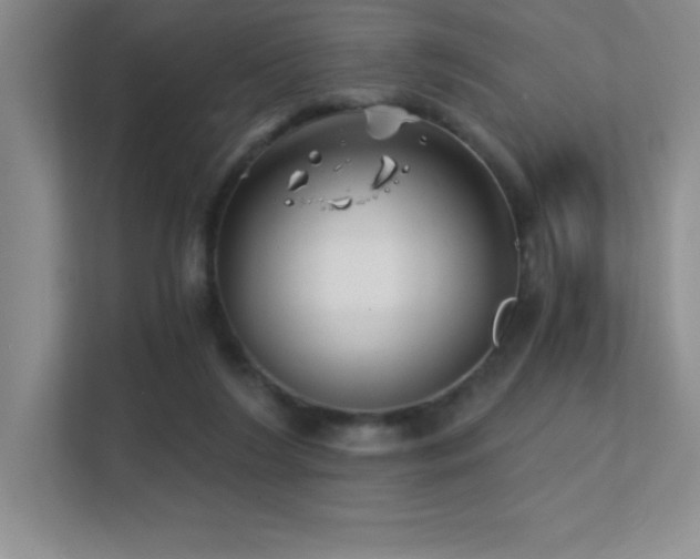 X0000112390212200908131555