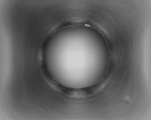 X0000112390215200908131555