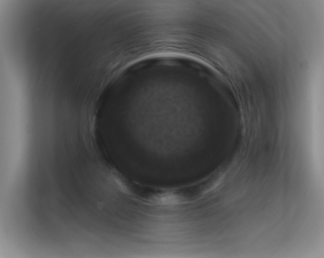 X0000112390219200908131555