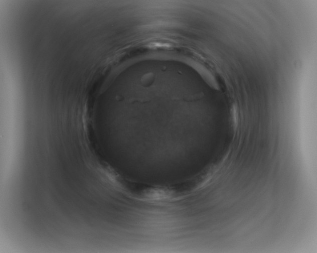 X0000112390223200908131555