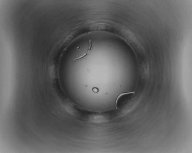 X0000112390224200908131555