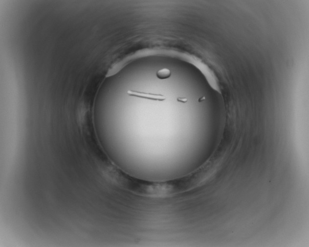 X0000112390225200908131555