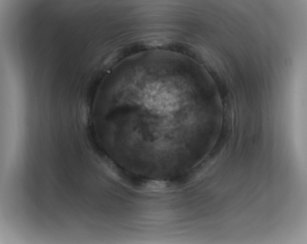 X0000112390227200908131555