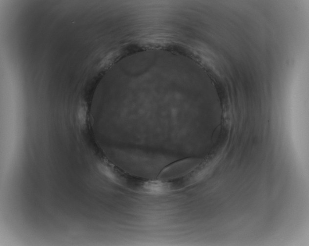 X0000112390231200908131555