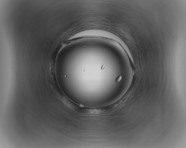 X0000112390233200908131555