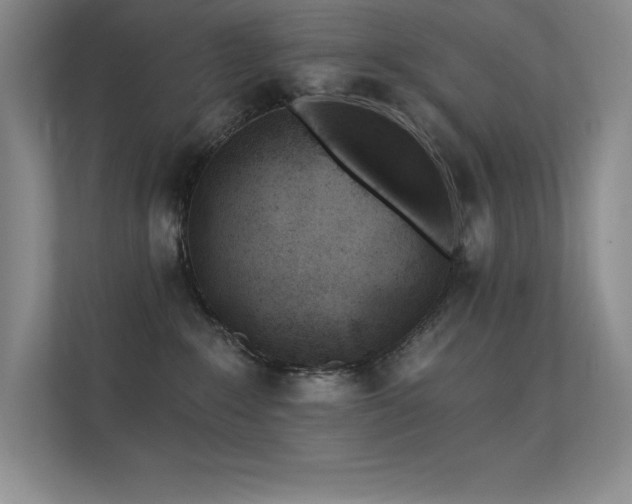 X0000112390235200908131555