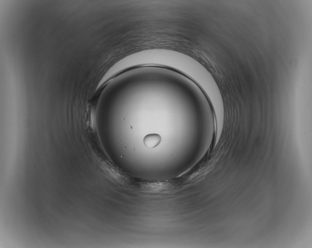 X0000112390237200908131555