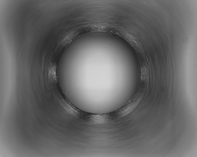 X0000112390238200908131555