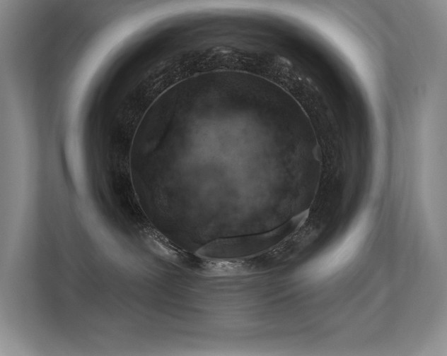 X0000112390239200908131555